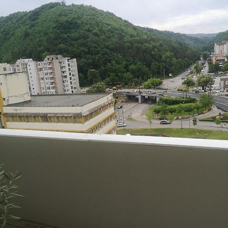 Penthouse Luxury Apartment Resita Exterior photo